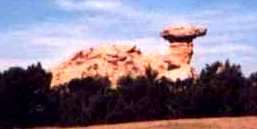 Camel Rock